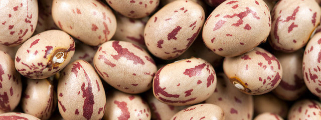 Haricot nombril de la vierge