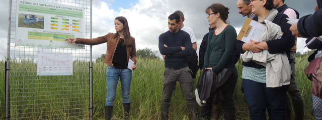 Formateur et étudiants