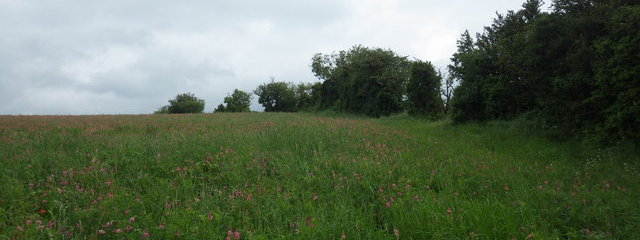 Mélanges prairiaux (sainfoin, luzerne, dactyle, RG hybride)