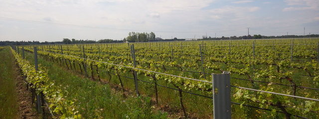 Panorama de l'exploitation