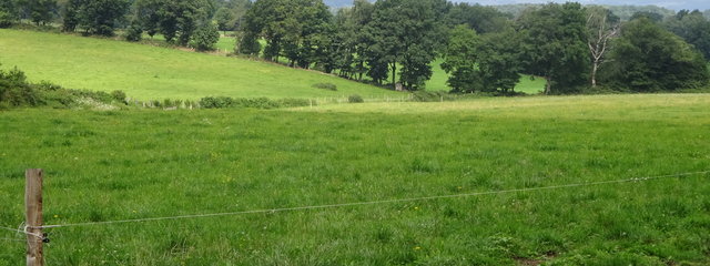 Cloisonnement du bocage