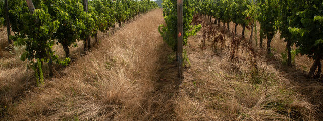 Couvert en inter-rang