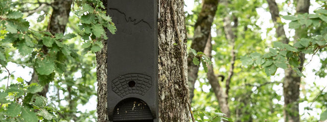 Nichoir à chauve-souris