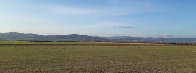 Projet d'agroforesterie