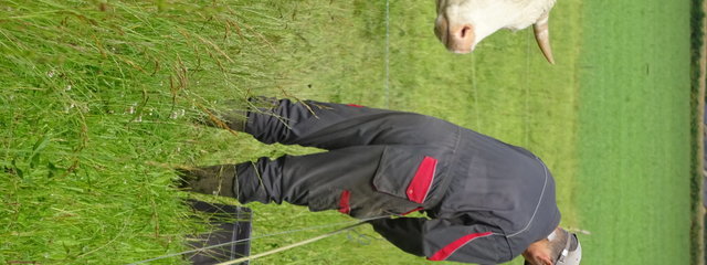 Déplacement des clôtures