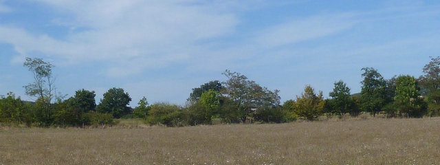 Prairies Temporaires Mélangées