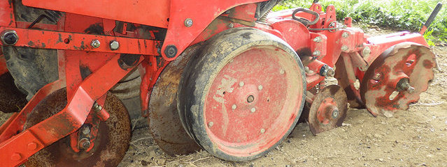 Disques du semoir SD Maxima