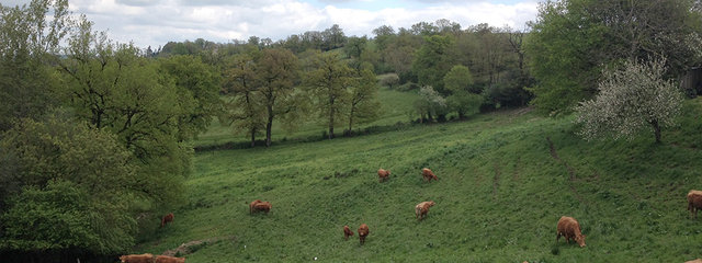 PTD en pente en clôture fixe 
