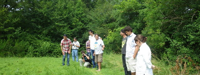 Association lentille cameline (semis début mars)