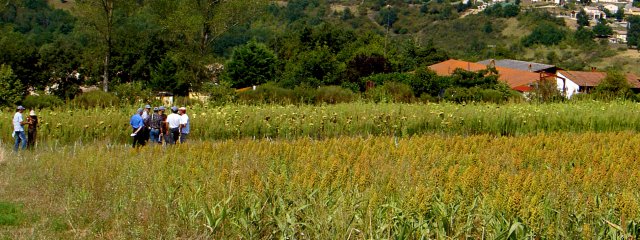 Plate-forme d’essais de cultures et couverts