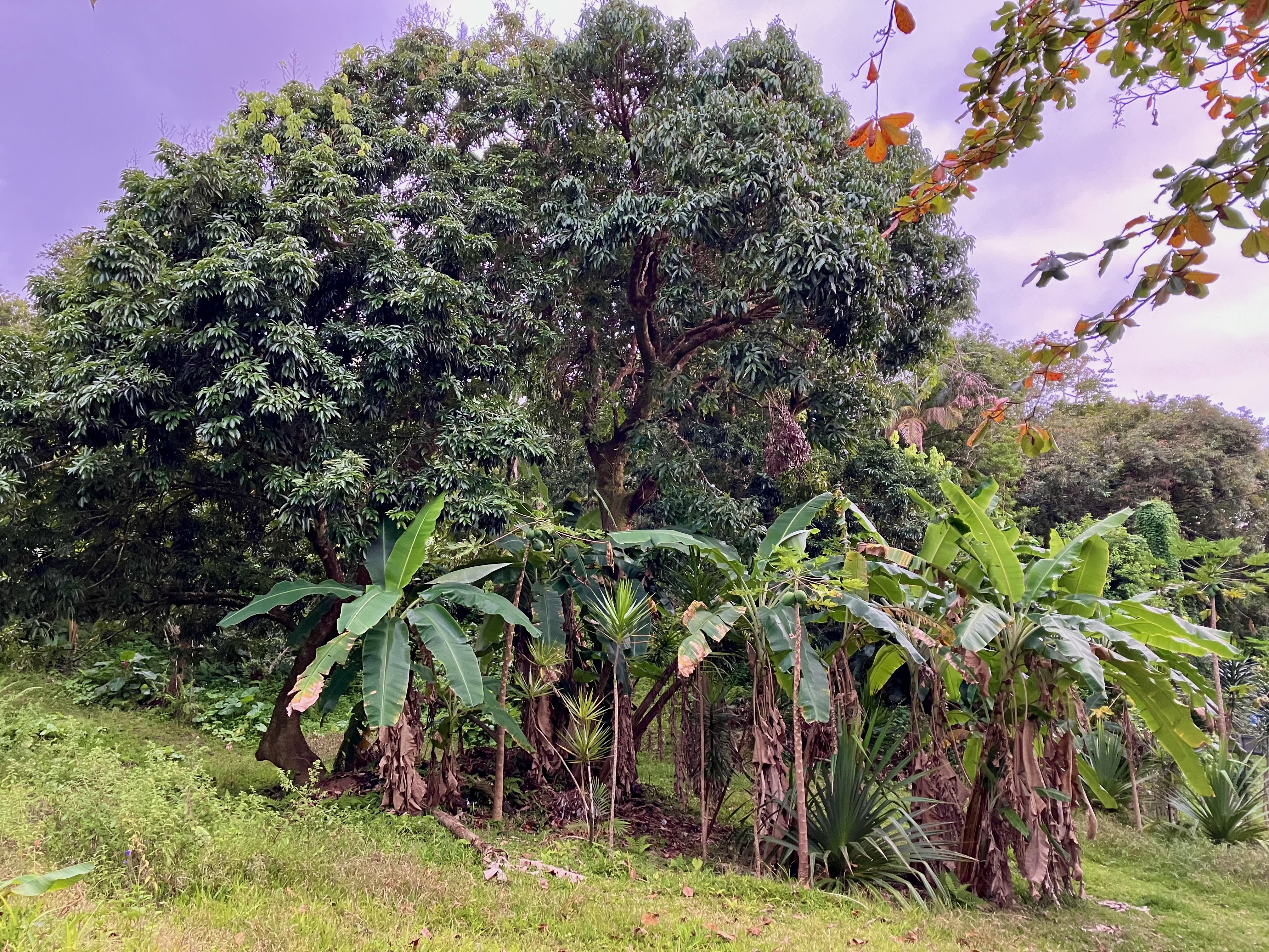 Site de Bois Blanc – Entrée de la concession