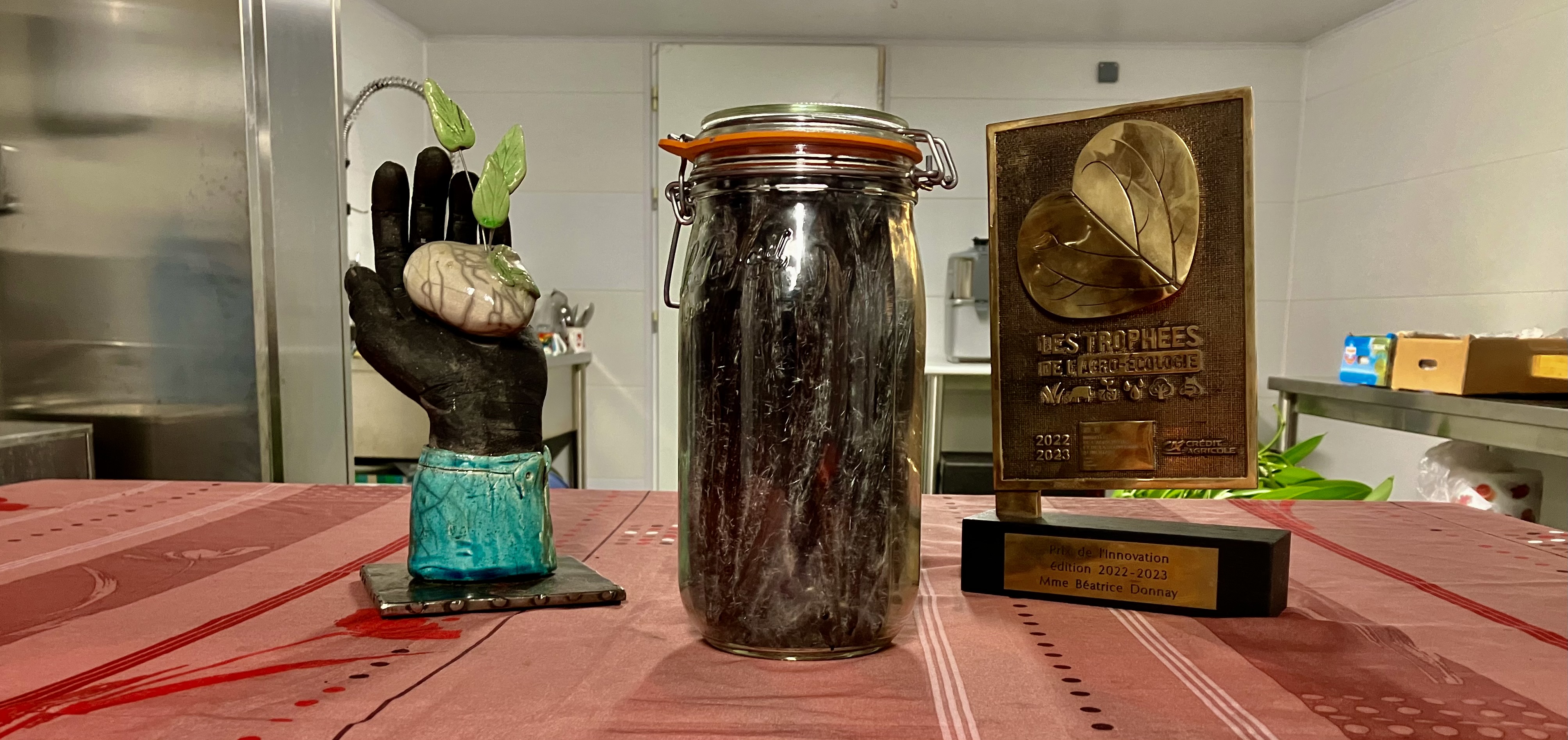 Conditionnement de la vanille - ici vanille en grand conditionnement