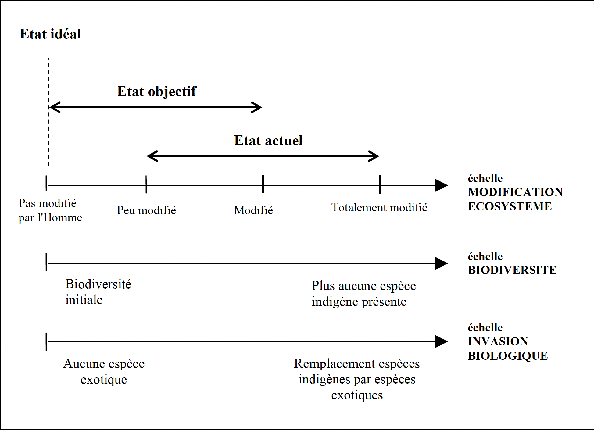 Représentation schématique des états de référence en restauration écologique
