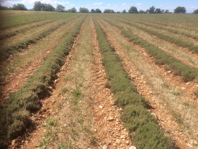 solagro osae couverts