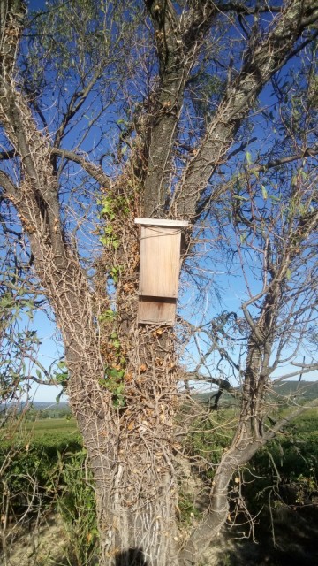 solagro osae nichoirs