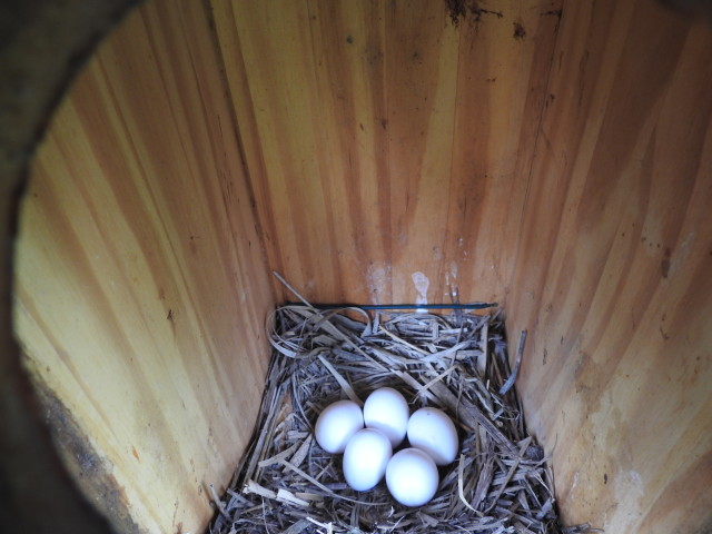 solagro osae nichoirs