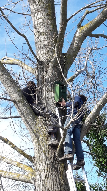 solagro osae nichoirs