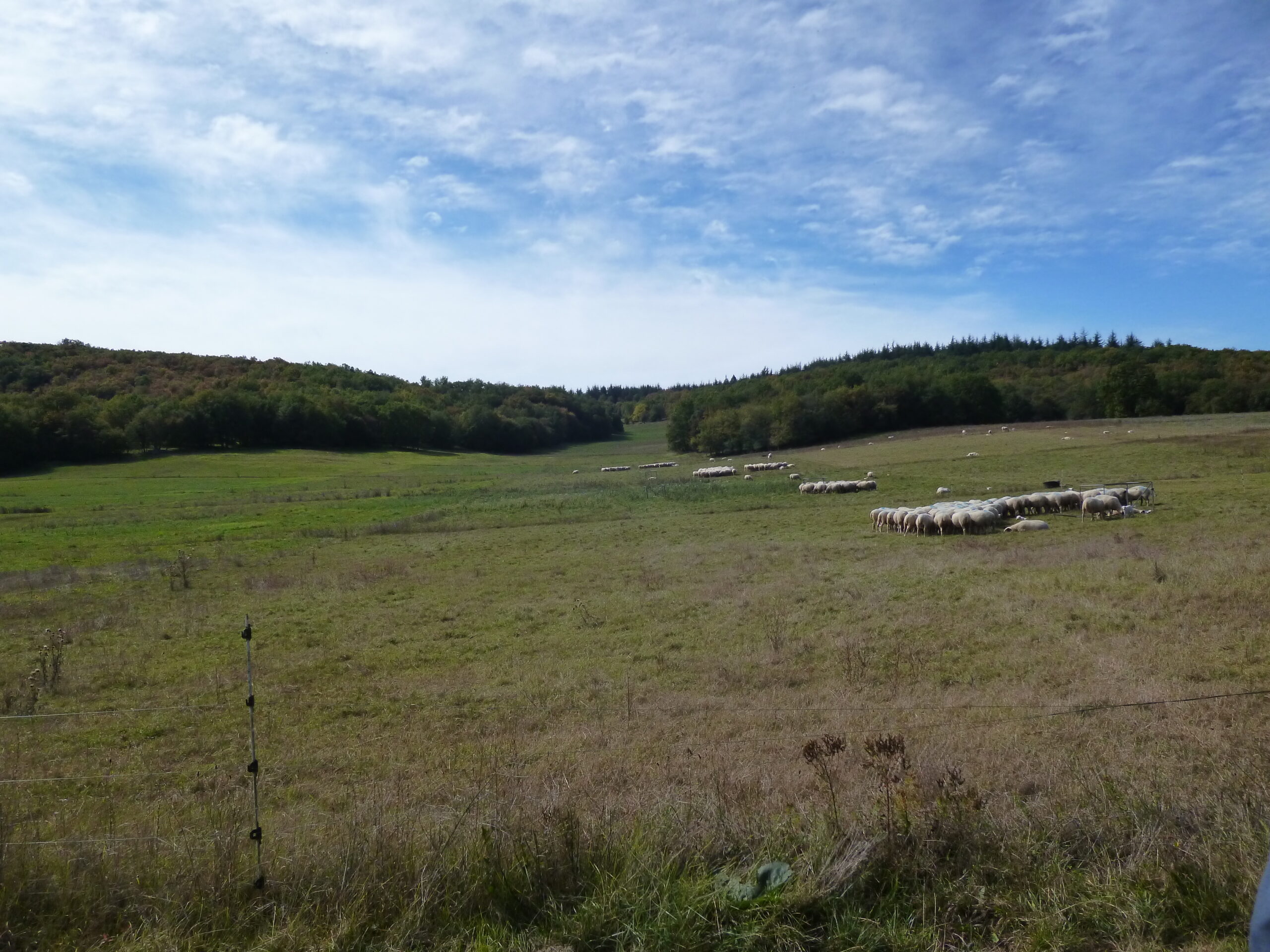 Photo de l'exploitation d'André et Agnès Delpech