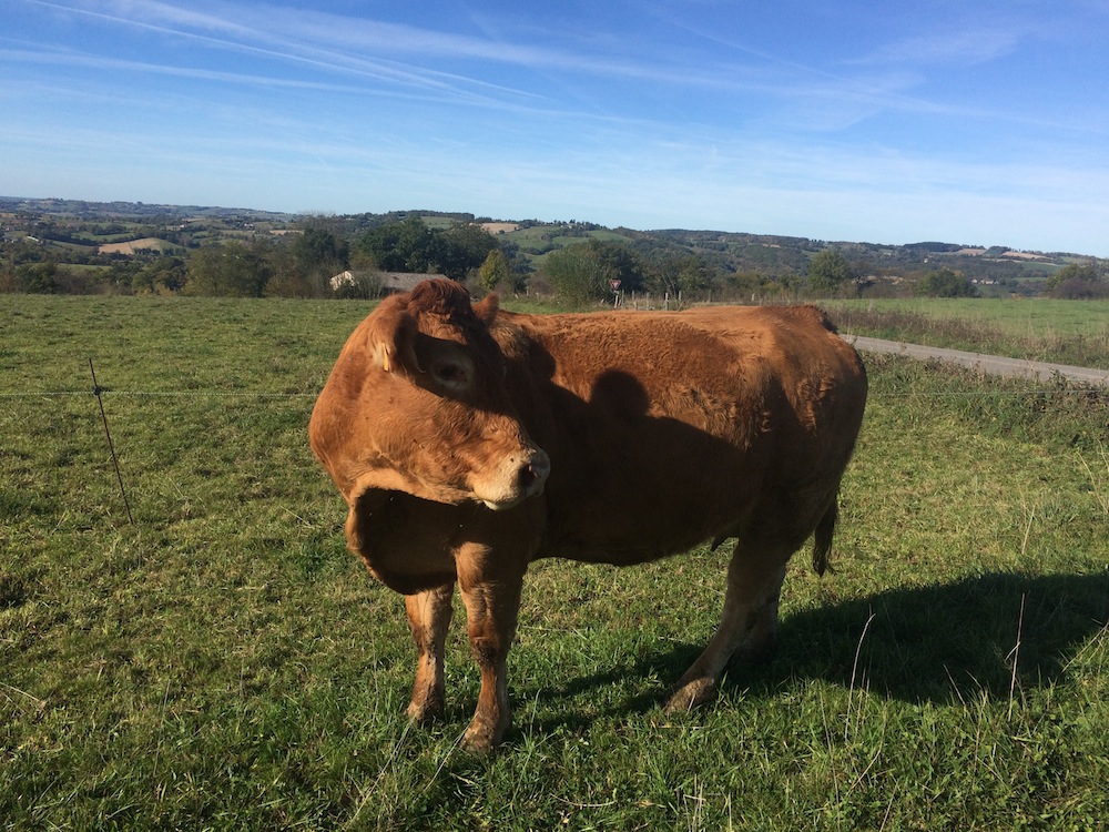 Photo de l'exploitation de Jean-Baptiste Carrié