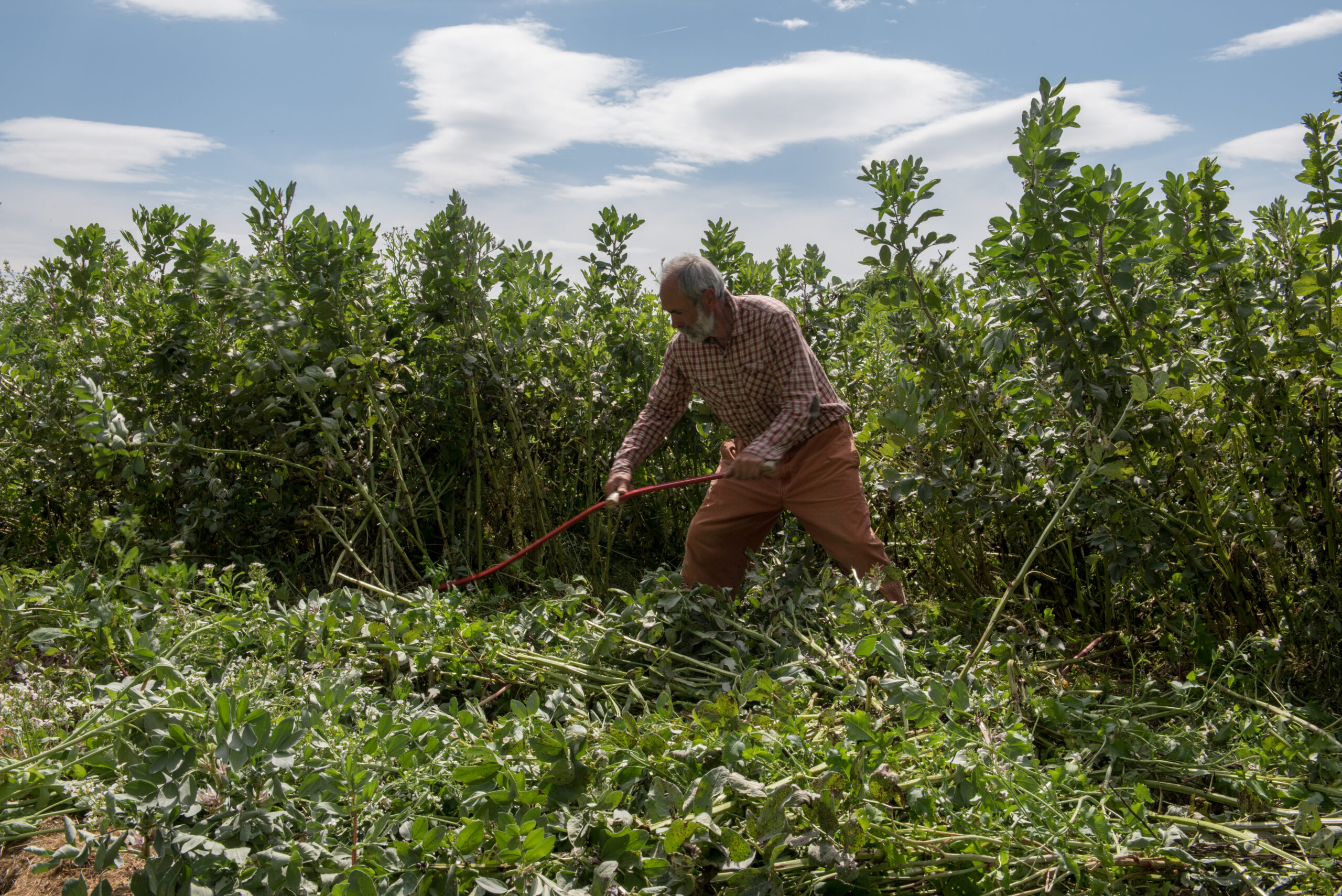 Photo de Pierre Besse dans son exploitation