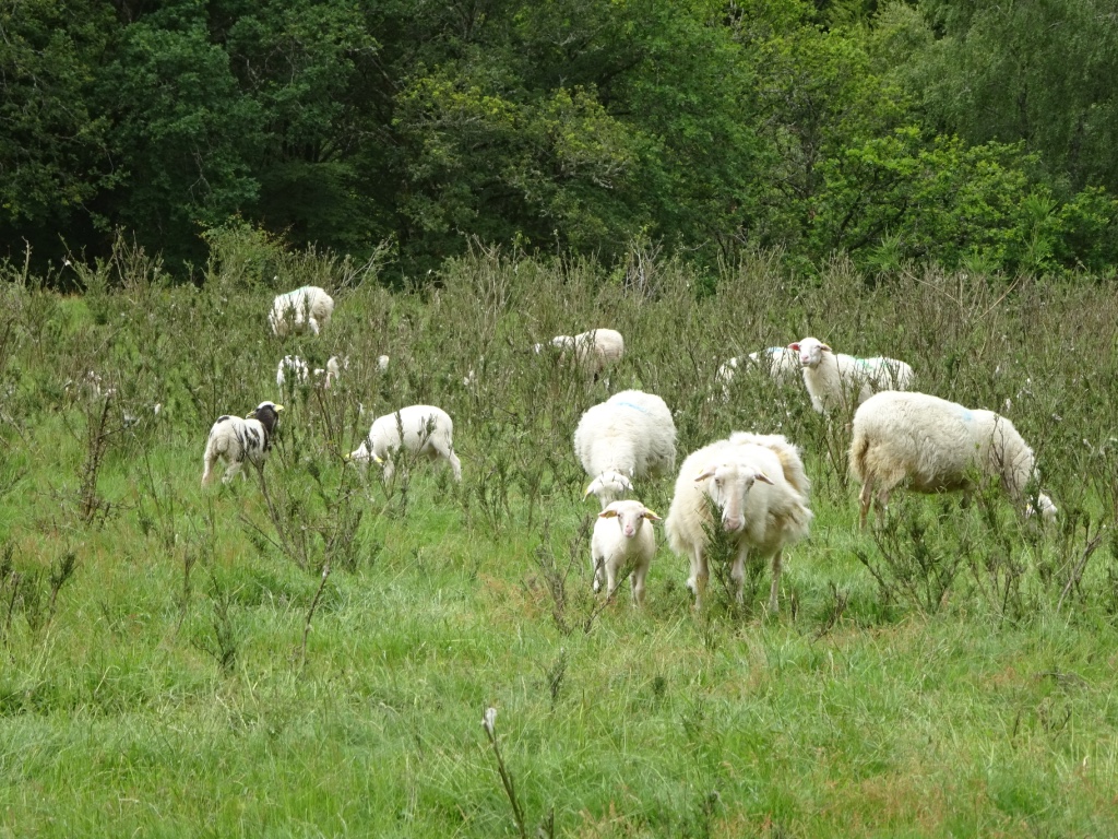 Exploitation de Cédric De Guillaume