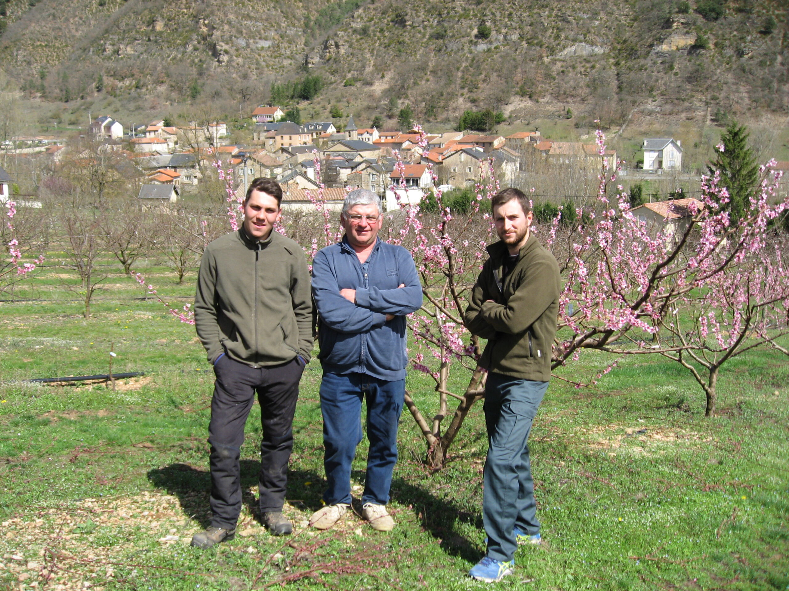 Vergers de l'Aveyron