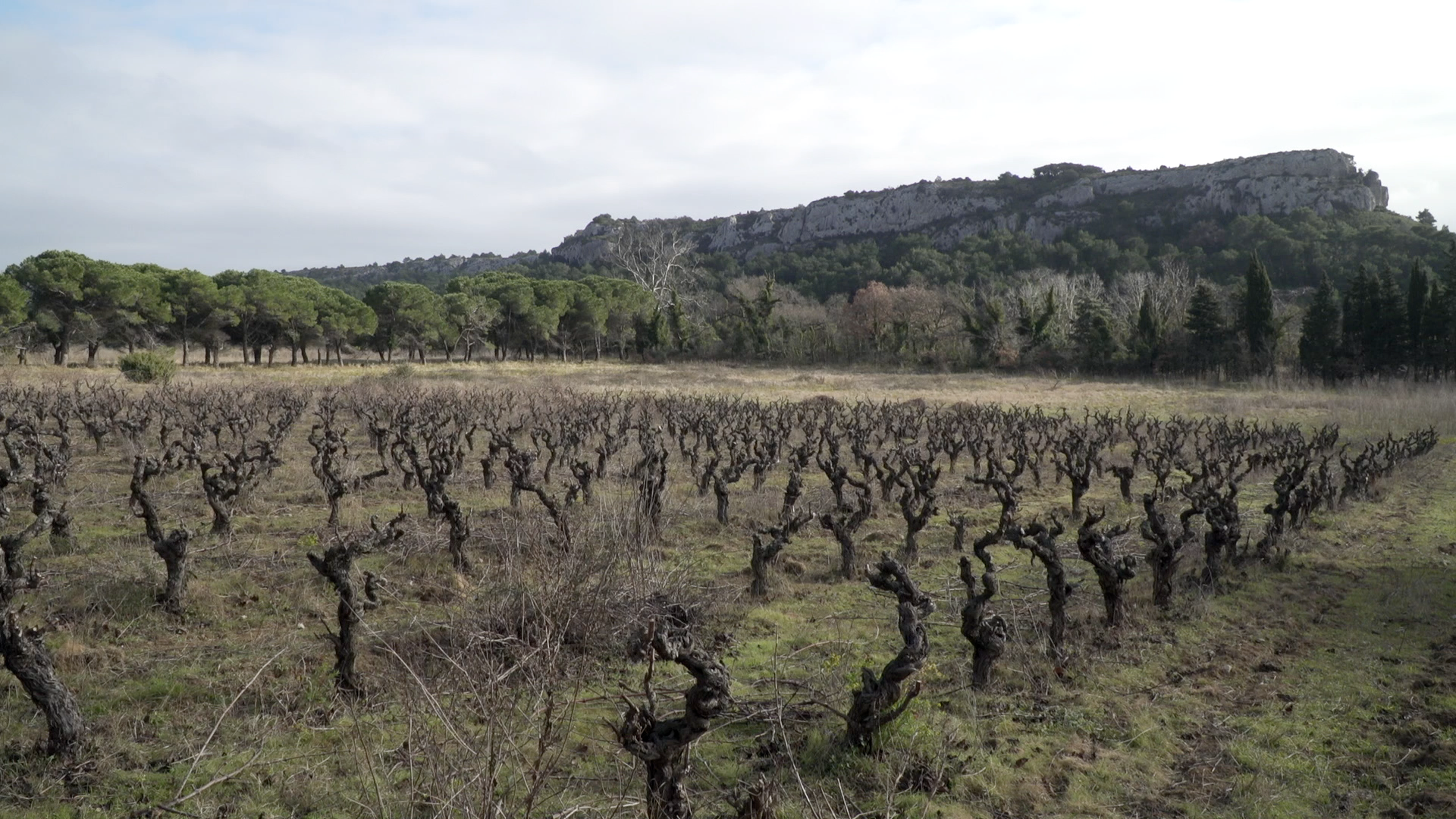 Exploitation de Christophe Bousquet