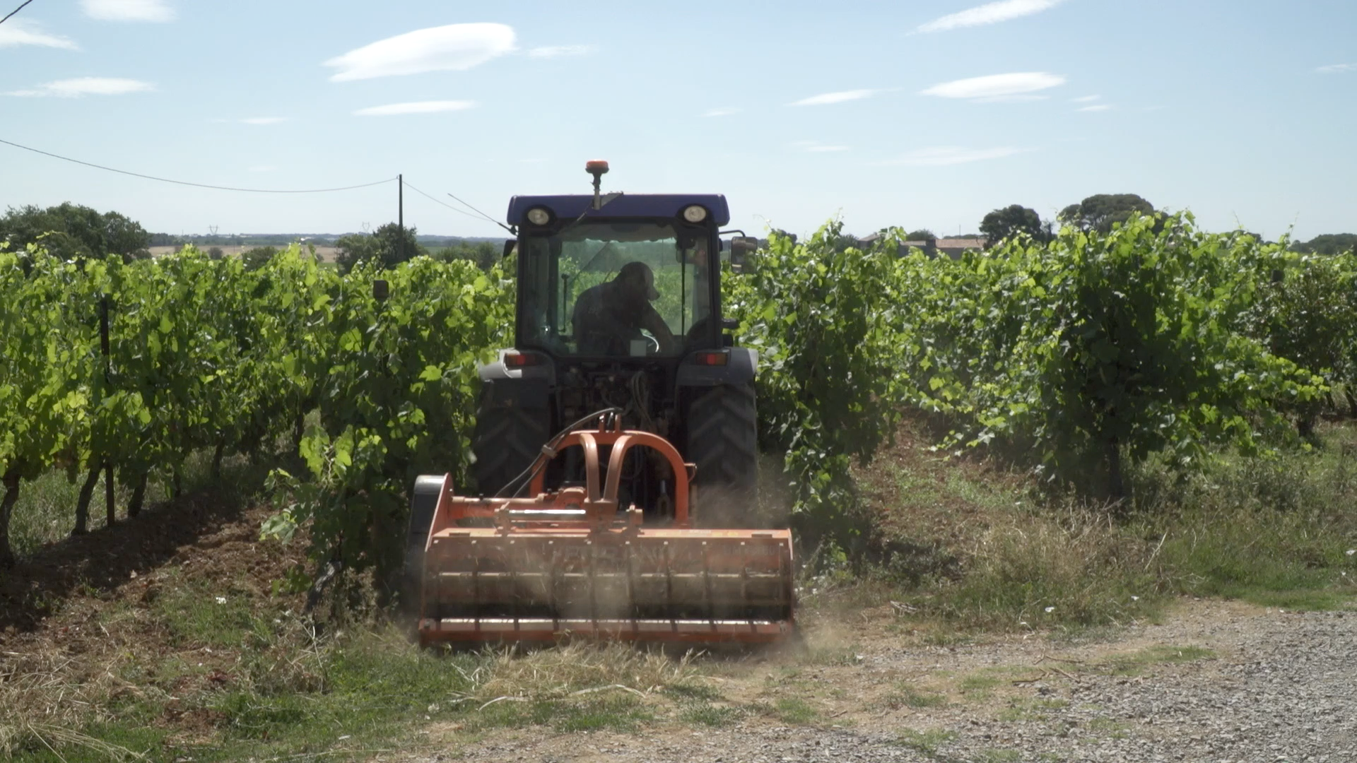 Domaine de la Massole