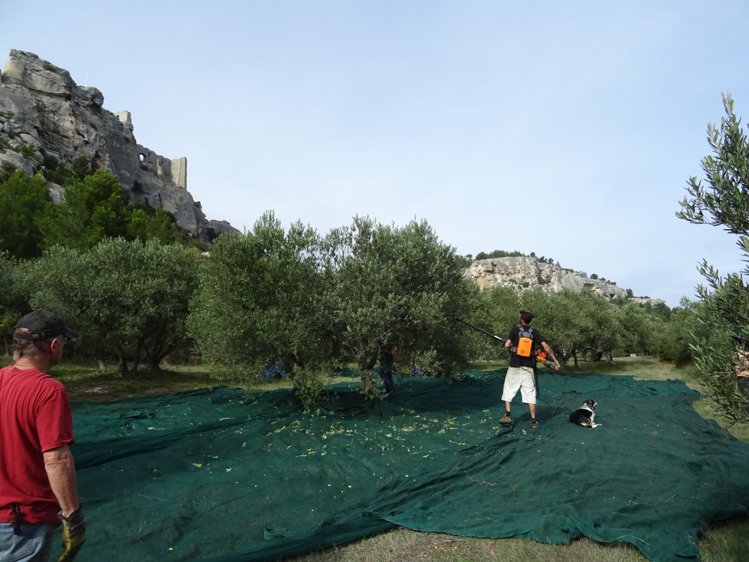 Exploitation de Bruno Dunan