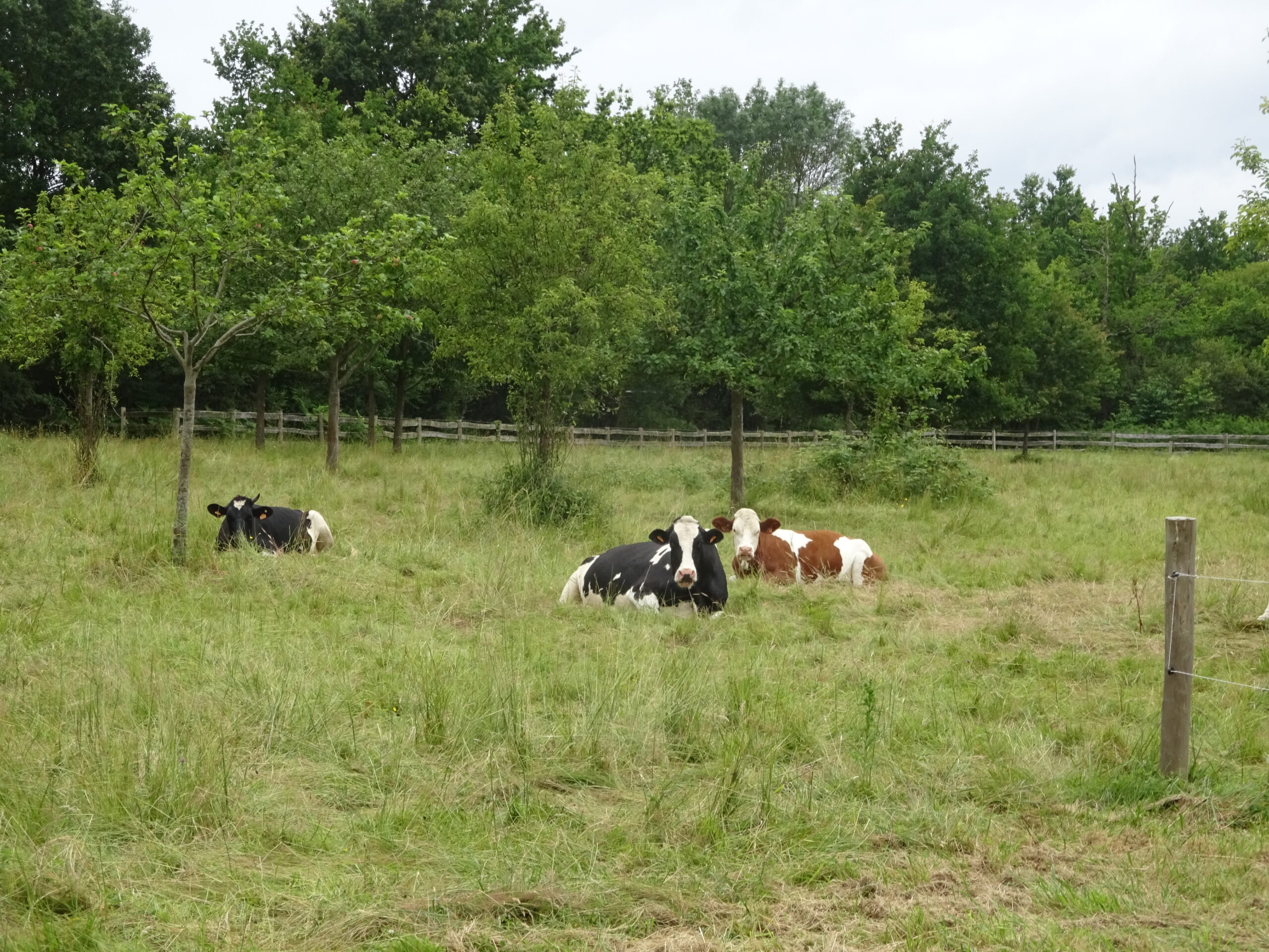 Photo exploitation de Gilles Simonneaux