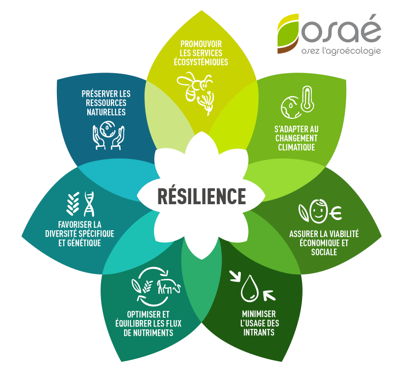 Fleur de l'agroécologie - Osaé